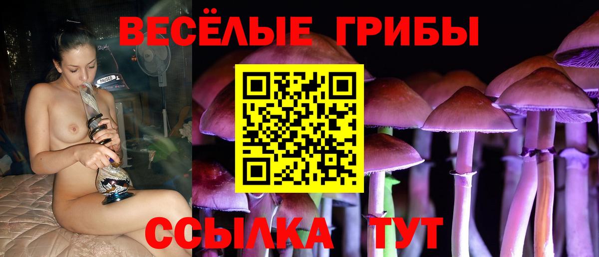 Псилоцибиновые грибы мухоморы Калач-на-Дону